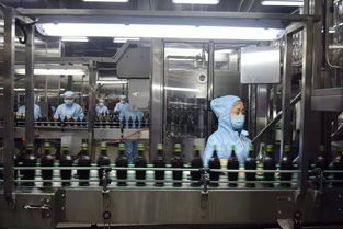 攜手同行 合作共贏 重慶泉龍公司攜新老客戶(hù)參觀(guān)保寧醋工廠(chǎng)