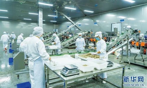 重慶榮昌 頭尾相連 串出農(nóng)業(yè)價(jià)值鏈