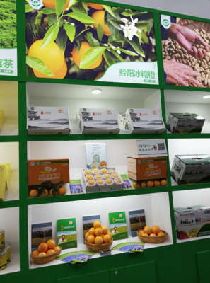 黔陽冰糖橙閃耀第十八屆中國國際農(nóng)產(chǎn)品交易會，山城重慶盡展“橙”意